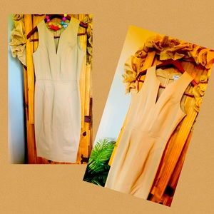 Classic simple elegant pencil dress.